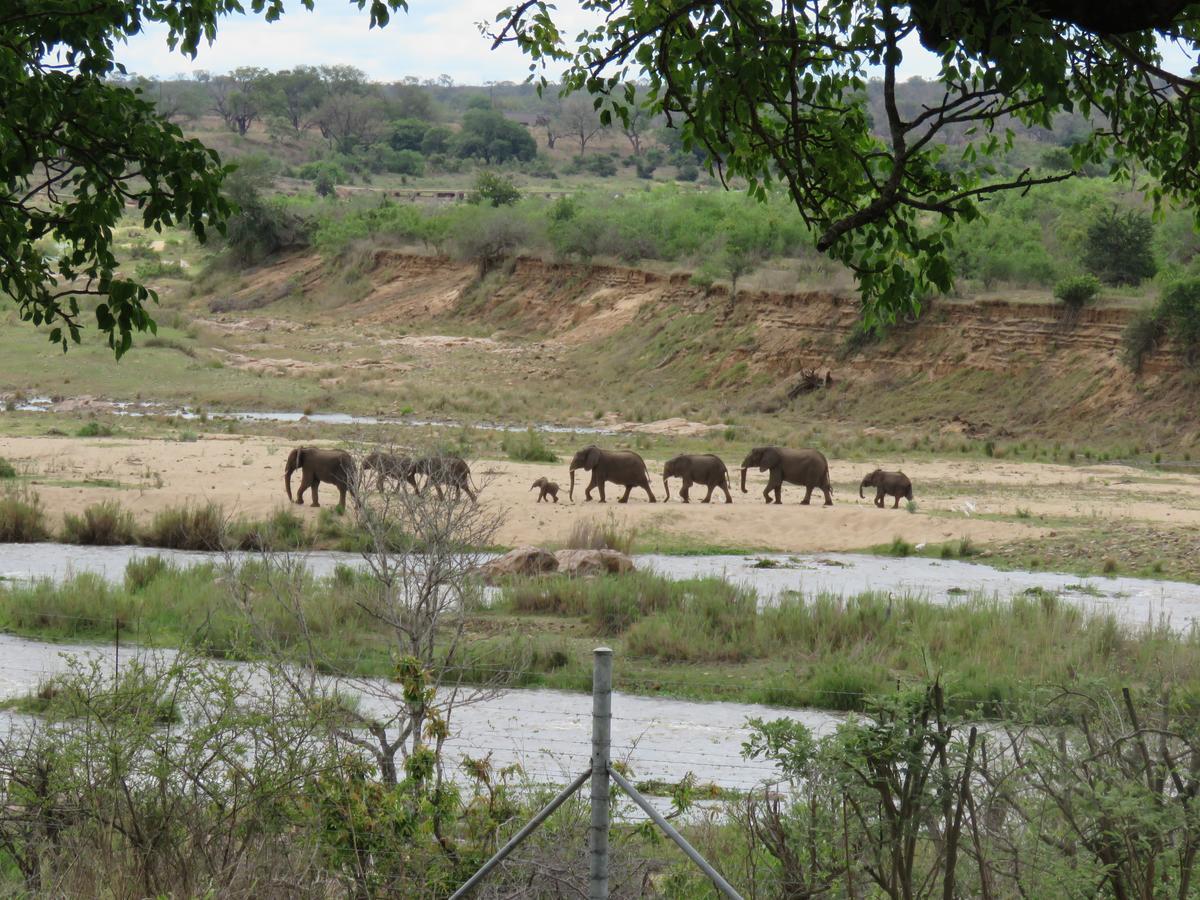 Kruger View Tree House Vila Marloth Park Exterior foto