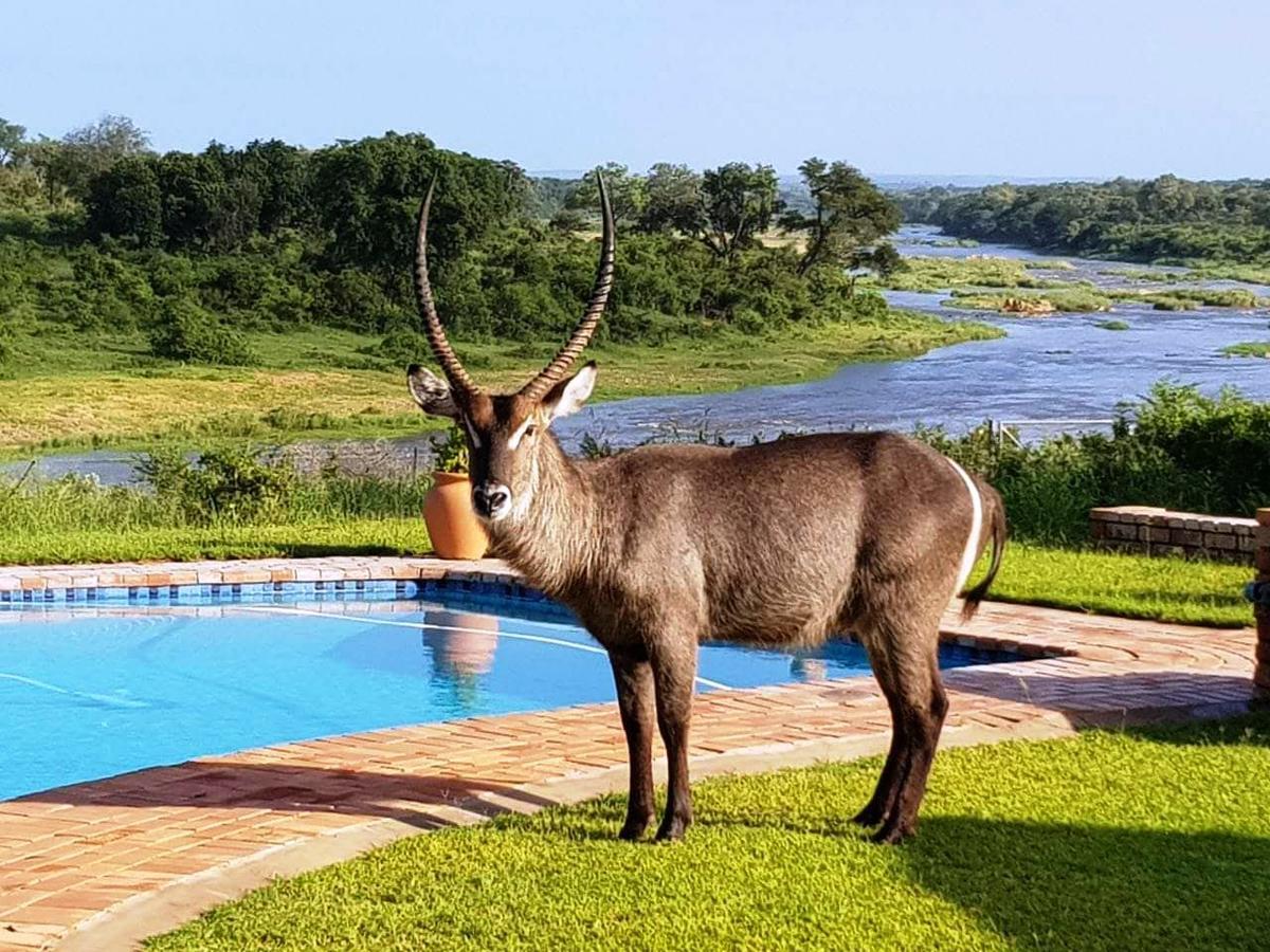 Kruger View Tree House Vila Marloth Park Exterior foto